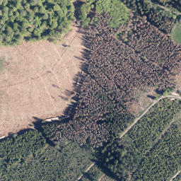 Satellite imagery of Neuntel, DE