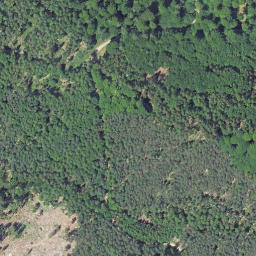 Satellite imagery of Leimbachskopf, DE