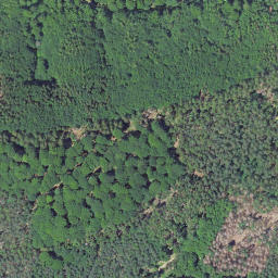 Satellite imagery of Leimbachskopf, DE