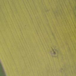 Satellite imagery of Sandberg, DE