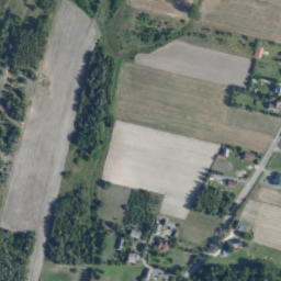 Satelita