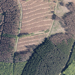 Satellite imagery of Homerich, DE