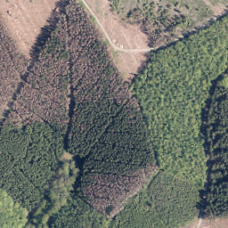 Satellite imagery of Homerich, DE