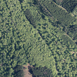 Satellite imagery of Reiserberg, DE