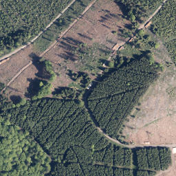 Satellite imagery of Neuntel, DE