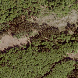 Satellite imagery of Brachter Höhe, DE