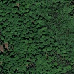 Satellite imagery of Buchberg, DE