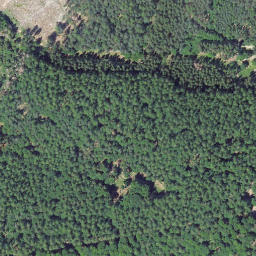 Satellite imagery of Leimbachskopf, DE