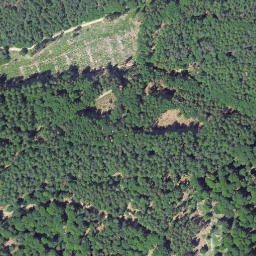 Satellite imagery of Leimbachskopf, DE