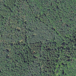 Satellite imagery of Stubbachshöhe, DE