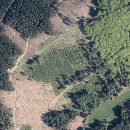 Satellite imagery of Großer Buchholzberg, DE