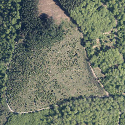 Satellite imagery of Reiserberg, DE