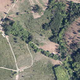 Satellite imagery of Neuntel, DE