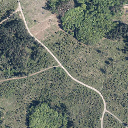 Satellite imagery of Rote Hardt, DE