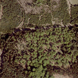 Satellite imagery of Großer Badenstein, DE