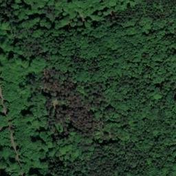 Satellite imagery of Buchberg, DE