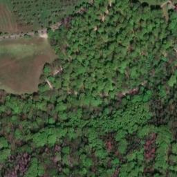 Satellite imagery of Südostmast Sender Weimar, DE