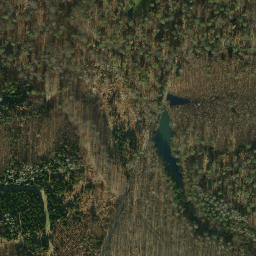 Satellite imagery of survey_point, NL