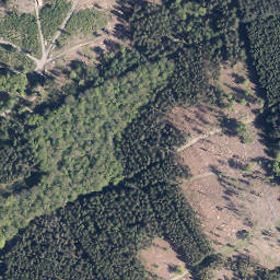 Satellite imagery of Großer Buchholzberg, DE