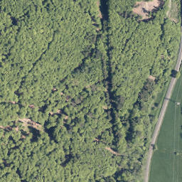 Satellite imagery of Großer Buchholzberg, DE