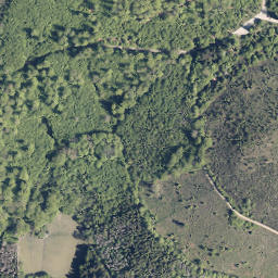 Satellite imagery of Reiserberg, DE
