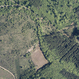 Satellite imagery of Reiserberg, DE
