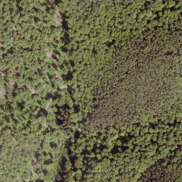 Satellite imagery of Höllenstein, DE