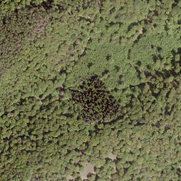 Satellite imagery of Höllenstein, DE
