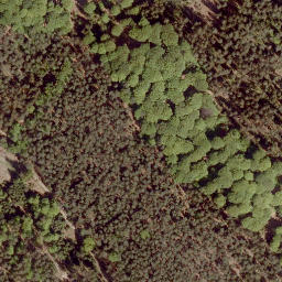 Satellite imagery of Treppenkopf, DE