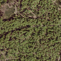 Satellite imagery of Brachter Höhe, DE
