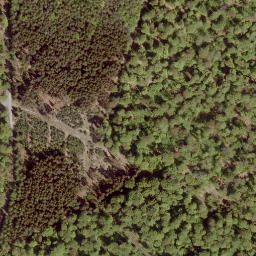 Satellite imagery of Brachter Höhe, DE