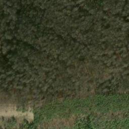 Satellite imagery of Jenzig, DE