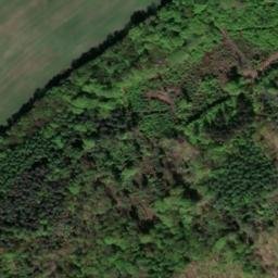 Satellite imagery of Treppenhauer, DE