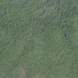 Satellite imagery of Secretary Point, CA