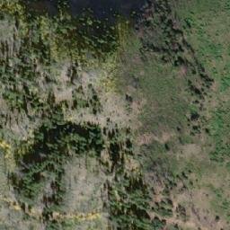 Satellite imagery of Pearson Ridge, CA