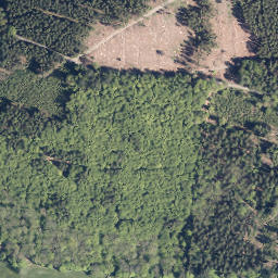 Satellite imagery of Großer Buchholzberg, DE
