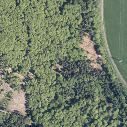 Satellite imagery of Großer Buchholzberg, DE