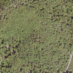 Satellite imagery of Höllenstein, DE