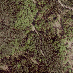Satellite imagery of Tauschenberg, DE
