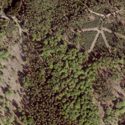Satellite imagery of Tauschenberg, DE
