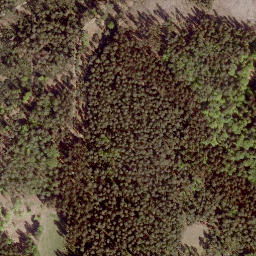 Satellite imagery of Tauschenberg, DE