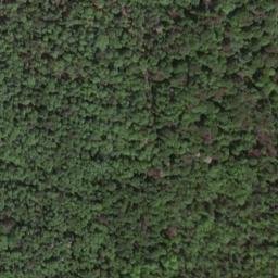 Satellite imagery of Zeisigberg, DE