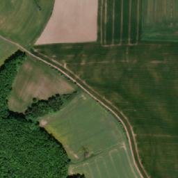 Satellite imagery of Swiny - Ruiny zamku, PL