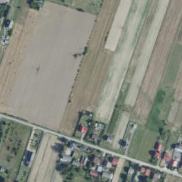 Satelita