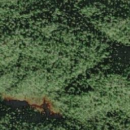 Satellite imagery of Mount Ellis, CA