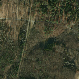 Satellite imagery of survey_point, NL