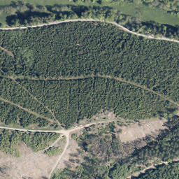 Satellite imagery of Geiernest, DE