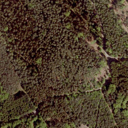 Satellite imagery of Tauschenberg, DE