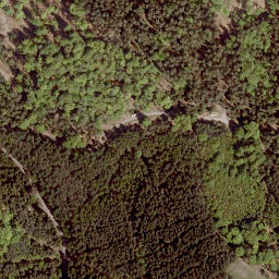 Satellite imagery of Tauschenberg, DE