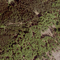 Satellite imagery of Tauschenberg, DE
